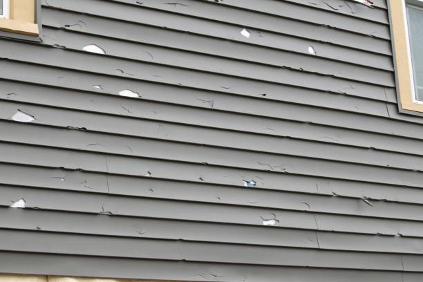 Best Wood Siding Installation  in Murraysville, NC